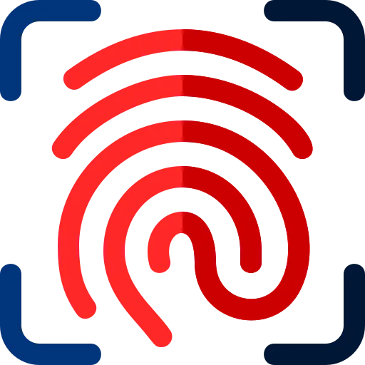 L'impronta digitale online
